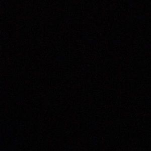 Meet your Posher, Elsa